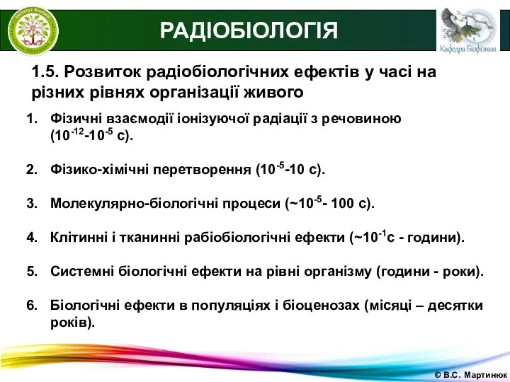 © В.С. Мартинюк 1.5. Розвиток радіобіологічних ефектів у часі на різних