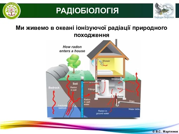 © В.С. Мартинюк Ми живемо в океані іонізуючої радіації природного походження РАДІОБІОЛОГІЯ