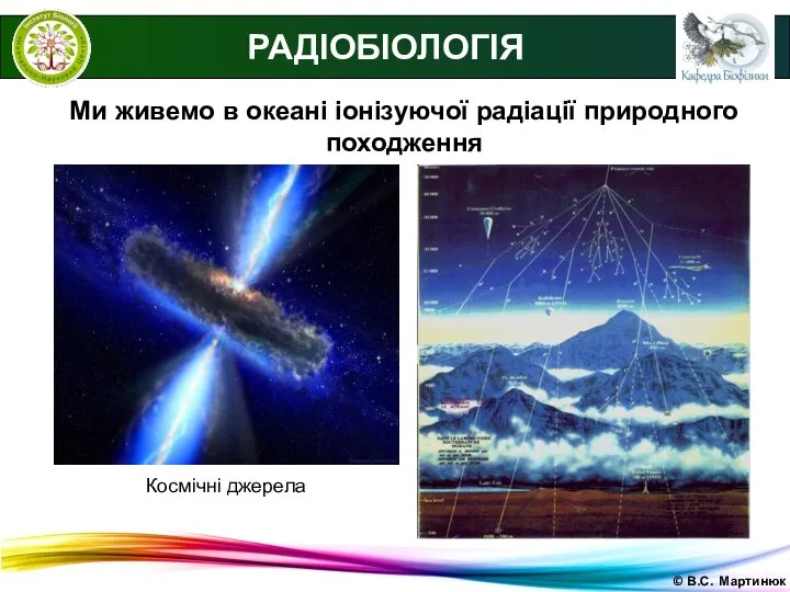 © В.С. Мартинюк Ми живемо в океані іонізуючої радіації природного походження РАДІОБІОЛОГІЯ Космічні джерела