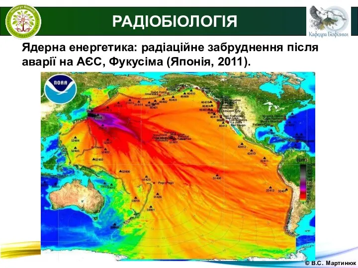 © В.С. Мартинюк Ядерна енергетика: радіаційне забруднення після аварії на АЄС, Фукусіма (Японія, 2011). РАДІОБІОЛОГІЯ