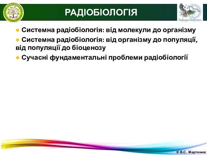 © В.С. Мартинюк РАДІОБІОЛОГІЯ ● Системна радіобіологія: від молекули до організму