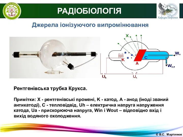 © В.С. Мартинюк РАДІОБІОЛОГІЯ Рентгенівська трубка Крукса. Примітки: X - рентгенівські