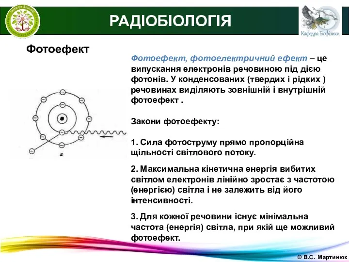 © В.С. Мартинюк РАДІОБІОЛОГІЯ Фотоефект Фотоефект, фотоелектричний ефект – це випускання