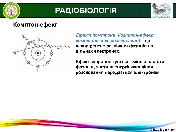 © В.С. Мартинюк РАДІОБІОЛОГІЯ Комптон-ефект Ефект Комптона (Комптон-ефект, комптонівське розсіювання) –