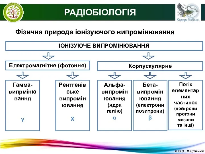 © В.С. Мартинюк РАДІОБІОЛОГІЯ Фізична природа іонізуючого випромінювання ІОНІЗУЮЧЕ ВИПРОМІНЮВАННЯ Електромагнітне