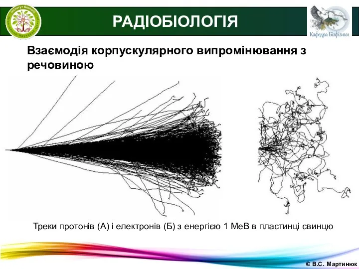 © В.С. Мартинюк РАДІОБІОЛОГІЯ Взаємодія корпускулярного випромінювання з речовиною Треки протонів