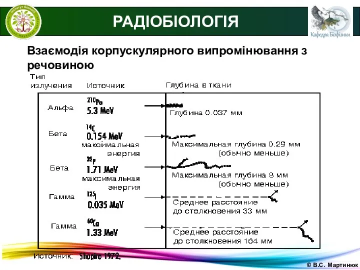 © В.С. Мартинюк РАДІОБІОЛОГІЯ Взаємодія корпускулярного випромінювання з речовиною