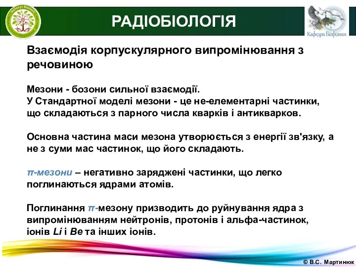 © В.С. Мартинюк РАДІОБІОЛОГІЯ Взаємодія корпускулярного випромінювання з речовиною Мезони -