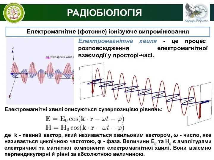 РАДІОБІОЛОГІЯ Електромагнітне (фотонне) іонізуюче випромінювання Електромагнітна хвиля - це процес розповсюдження