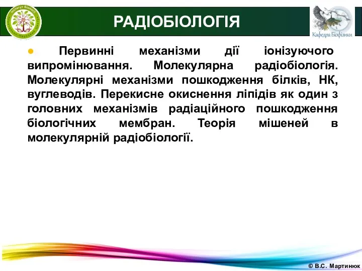 © В.С. Мартинюк РАДІОБІОЛОГІЯ ● Первинні механізми дії іонізуючого випромінювання. Молекулярна