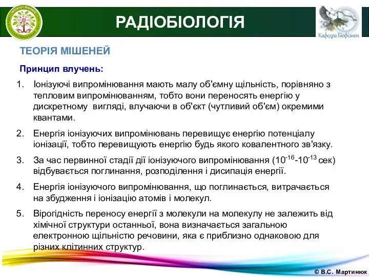 © В.С. Мартинюк РАДІОБІОЛОГІЯ ТЕОРІЯ МІШЕНЕЙ Принцип влучень: Іонізуючі випромінювання мають