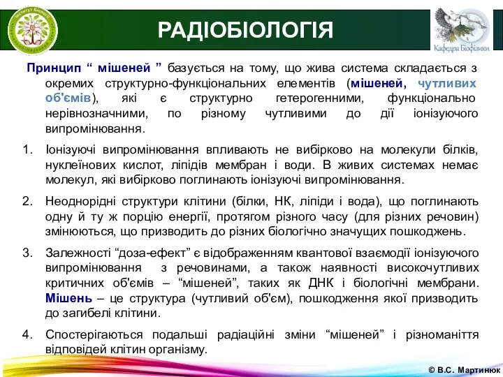 © В.С. Мартинюк РАДІОБІОЛОГІЯ Принцип “ мішеней ” базується на тому,