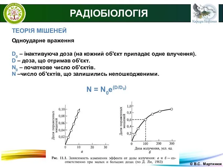 © В.С. Мартинюк РАДІОБІОЛОГІЯ ТЕОРІЯ МІШЕНЕЙ Одноударне враження D0 – інактивуюча