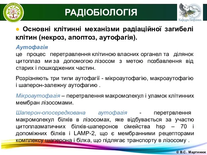 © В.С. Мартинюк РАДІОБІОЛОГІЯ ● Основні клітинні механізми радіаційної загибелі клітин