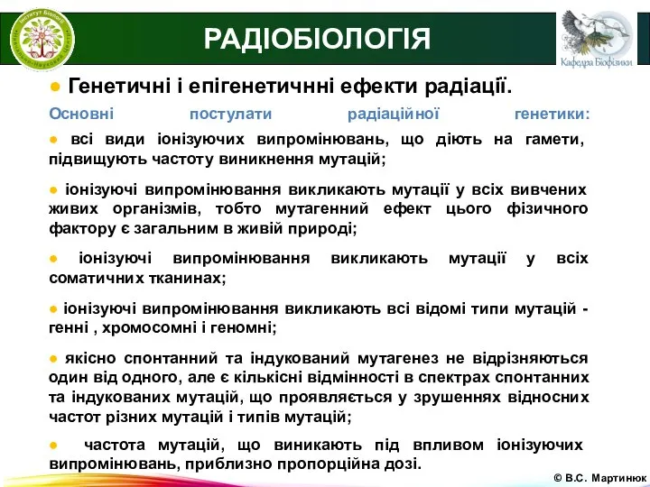 © В.С. Мартинюк РАДІОБІОЛОГІЯ ● Генетичні і епігенетичнні ефекти радіації. Основні