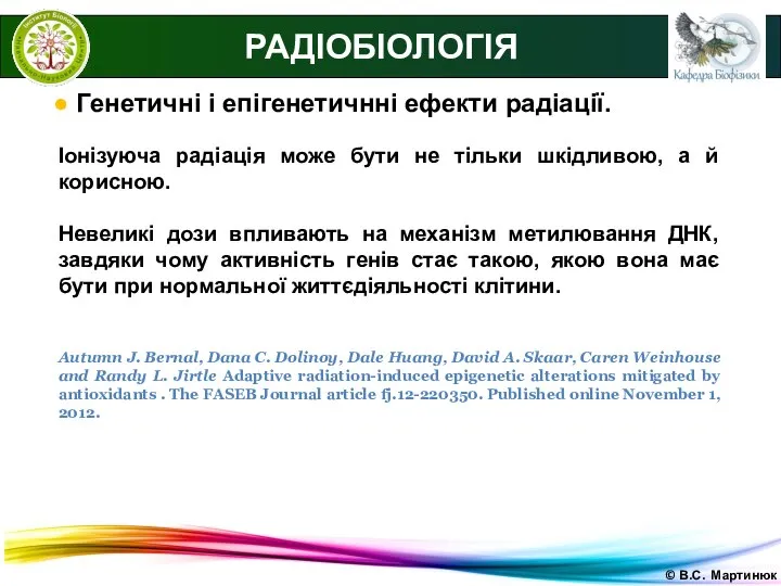 © В.С. Мартинюк РАДІОБІОЛОГІЯ ● Генетичні і епігенетичнні ефекти радіації. Іонізуюча