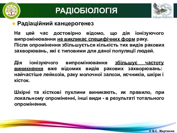 © В.С. Мартинюк РАДІОБІОЛОГІЯ ● Радіаційний канцерогенез На цей час достовірно