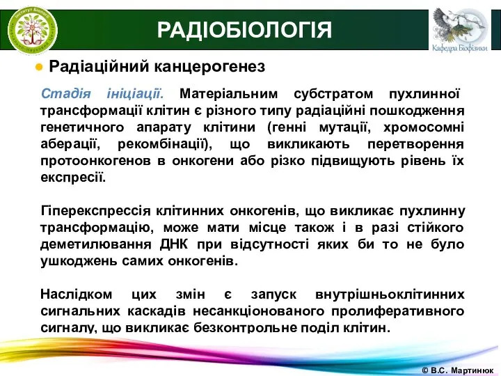 РАДІОБІОЛОГІЯ ● Радіаційний канцерогенез Стадія ініціації. Матеріальним субстратом пухлинної трансформації клітин