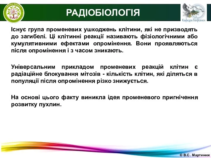 © В.С. Мартинюк РАДІОБІОЛОГІЯ Існує група променевих ушкоджень клітини, які не