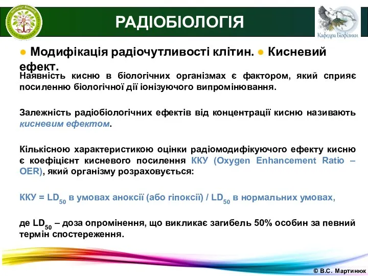 © В.С. Мартинюк РАДІОБІОЛОГІЯ ● Модифікація радіочутливості клітин. ● Кисневий ефект.