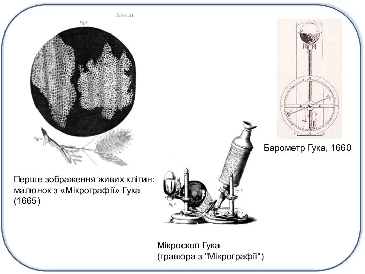 Мікроскоп Гука (гравюра з "Мікрографії") Барометр Гука, 1660 Перше зображення живих