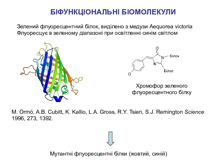 M. Ormö, A.B. Cubitt, K. Kallio, L.A. Gross, R.Y. Tsien, S.J.