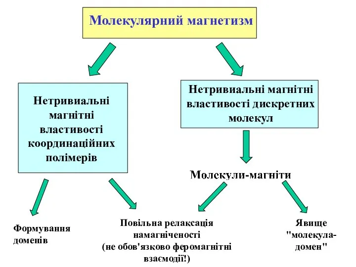 Молекулярний магнетизм Нетривиальні магнітні властивості дискретних молекул Явище "молекула-домен" Повільна релаксація