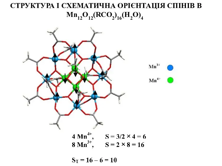 СТРУКТУРА І СХЕМАТИЧНА ОРІЄНТАЦІЯ СПІНІВ В Mn12O12(RCO2)16(H2O)4