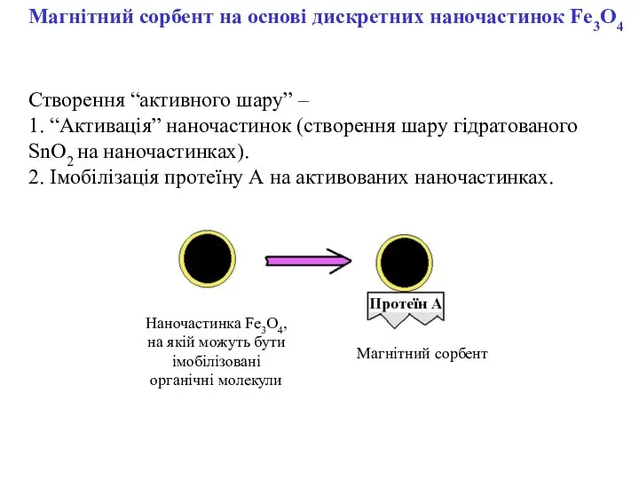 Магнітний сорбент на основі дискретних наночастинок Fe3O4 Створення “активного шару” –