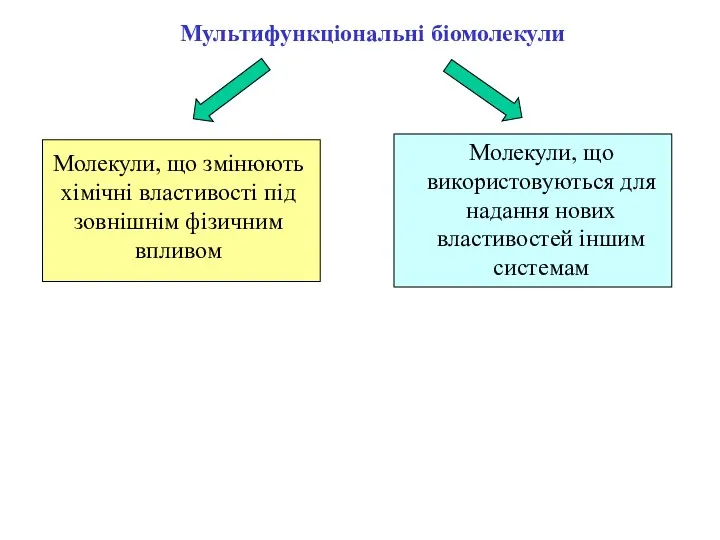 Мультифункціональні біомолекули Молекули, що змінюють хімічні властивості під зовнішнім фізичним впливом