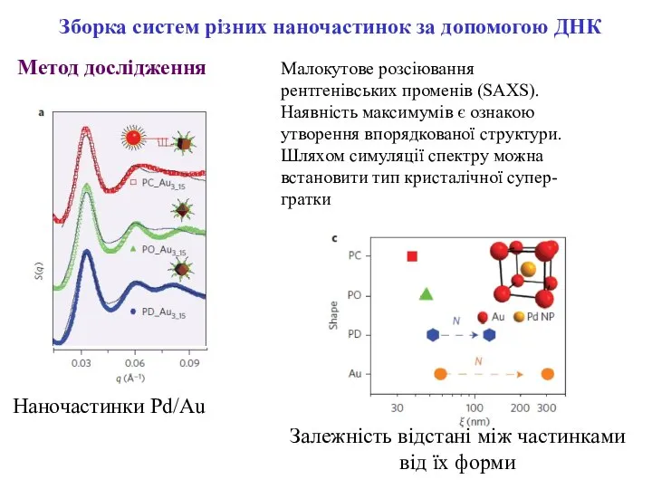 Малокутове розсіювання рентгенівських променів (SAXS). Наявність максимумів є ознакою утворення впорядкованої