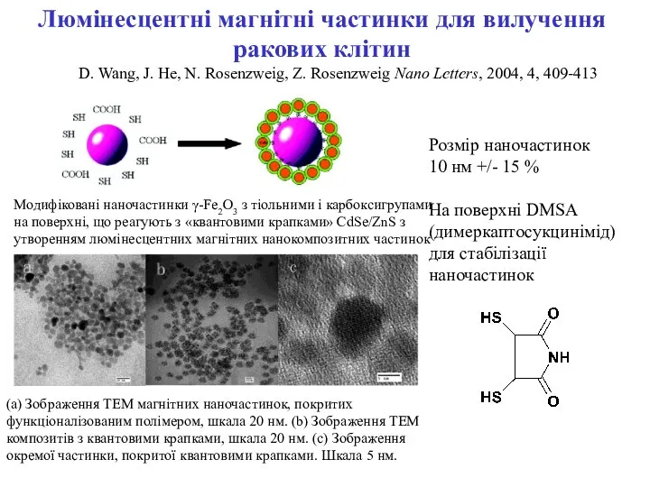 Люмінесцентні магнітні частинки для вилучення ракових клітин D. Wang, J. He,