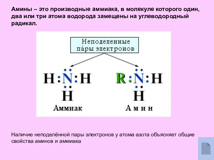 Амины – это производные аммиака, в молекуле которого один, два или