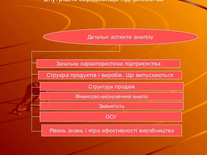 Внутрішнє середовище підприємства Детальні аспекти аналізу Загальна характеристика підприємства Струкра продуктів