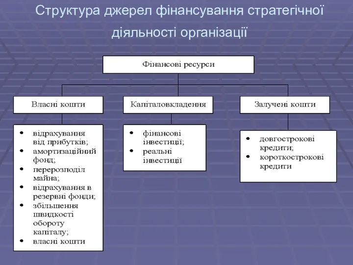 Структура джерел фінансування стратегічної діяльності організації