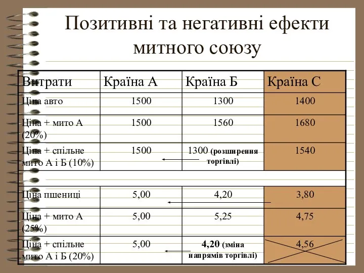 Позитивні та негативні ефекти митного союзу