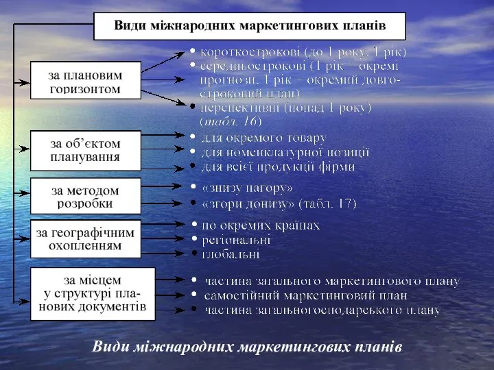 Види міжнародних маркетингових планів