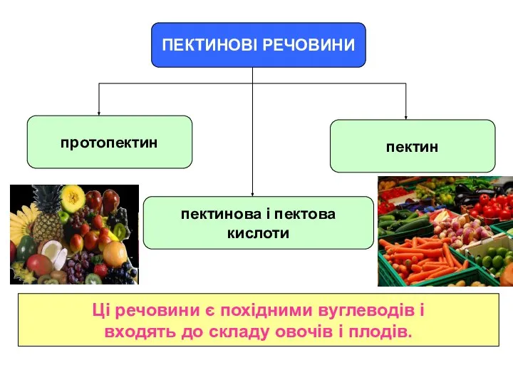 ПЕКТИНОВІ РЕЧОВИНИ Ці речовини є похідними вуглеводів і входять до складу