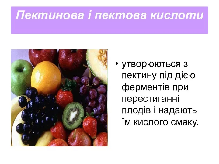 Пектинова і пектова кислоти утворюються з пектину під дією ферментів при