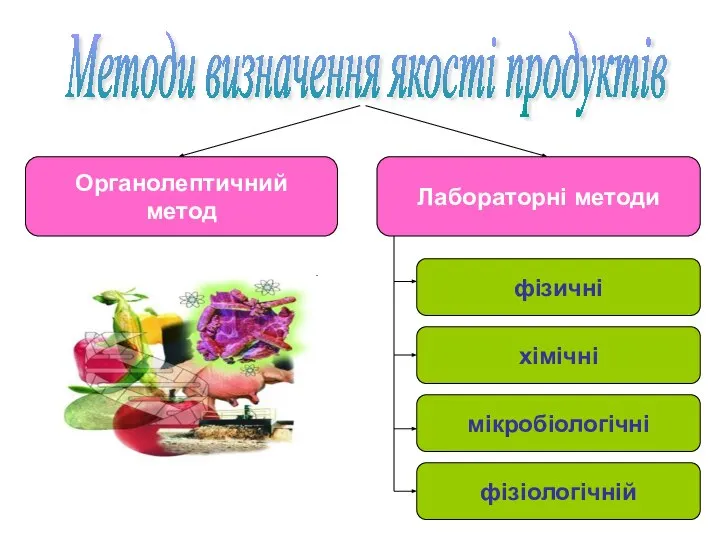 Методи визначення якості продуктів Органолептичний метод Лабораторні методи фізичні хімічні мікробіологічні фізіологічній