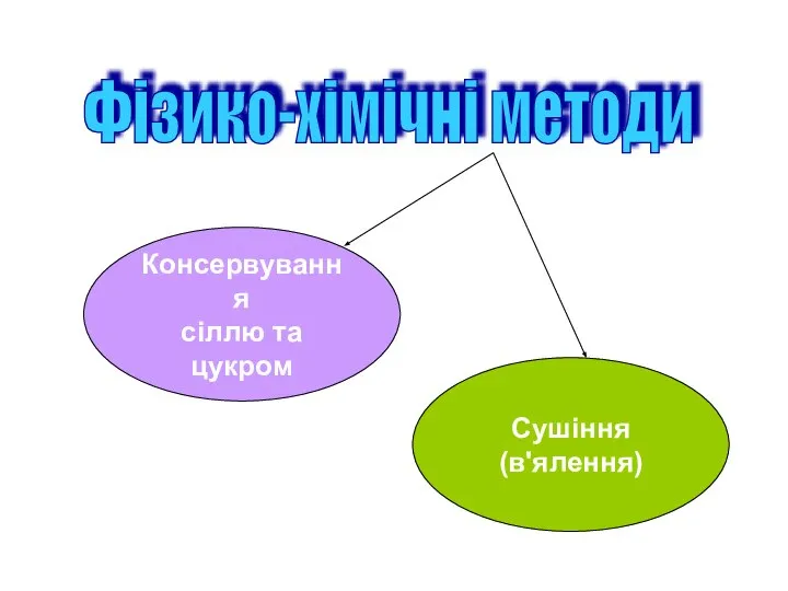 Фізико-хімічні методи Консервування сіллю та цукром Сушіння (в'ялення)