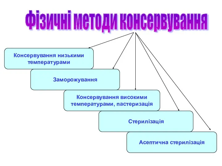 Фізичні методи консервування Консервування низькими температурами Асептична стерилізація Стерилізація Заморожування Консервування високими температурами, пастеризація