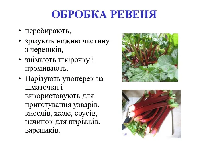 ОБРОБКА РЕВЕНЯ перебирають, зрізують нижню частину з черешків, знімають шкірочку і