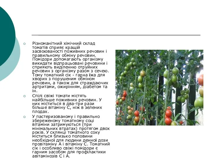 Різноманітний хімічний склад томатів сприяє кращій засвоюваності поживних речовин і правильному