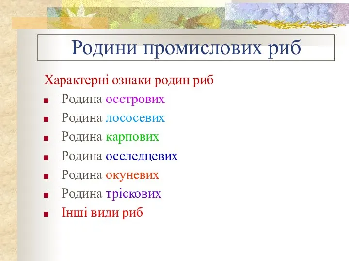 Родини промислових риб Характерні ознаки родин риб Родина осетрових Родина лососевих