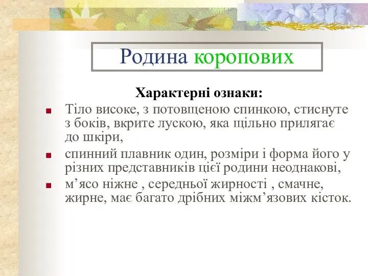 Родина коропових Характерні ознаки: Тіло високе, з потовщеною спинкою, стиснуте з