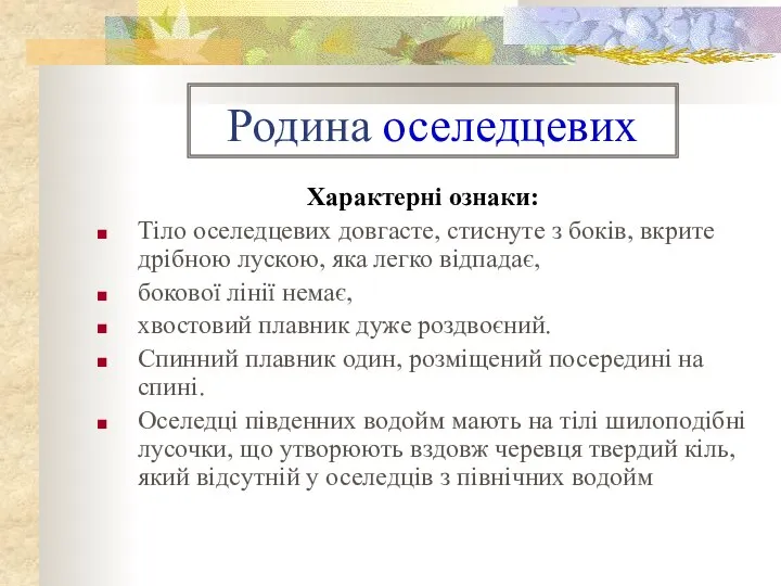 Родина оселедцевих Характерні ознаки: Тіло оселедцевих довгасте, стиснуте з боків, вкрите