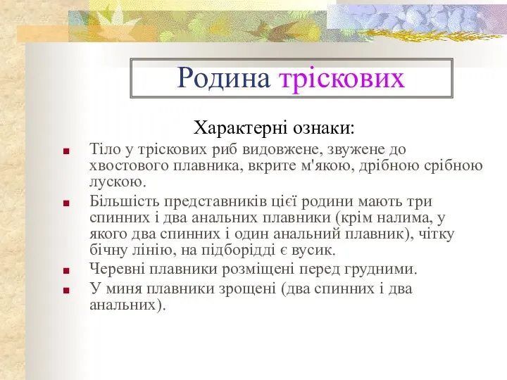 Родина тріскових Характерні ознаки: Тіло у тріскових риб видовжене, звужене до