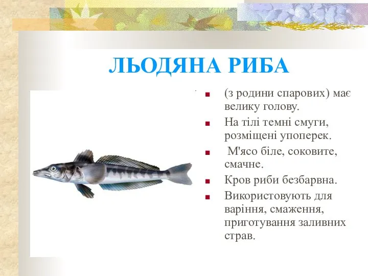 ЛЬОДЯНА РИБА (з родини спарових) має велику голову. На тілі темні