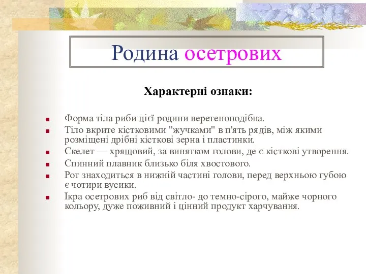 Родина осетрових Характерні ознаки: Форма тіла риби цієї родини веретеноподібна. Тіло